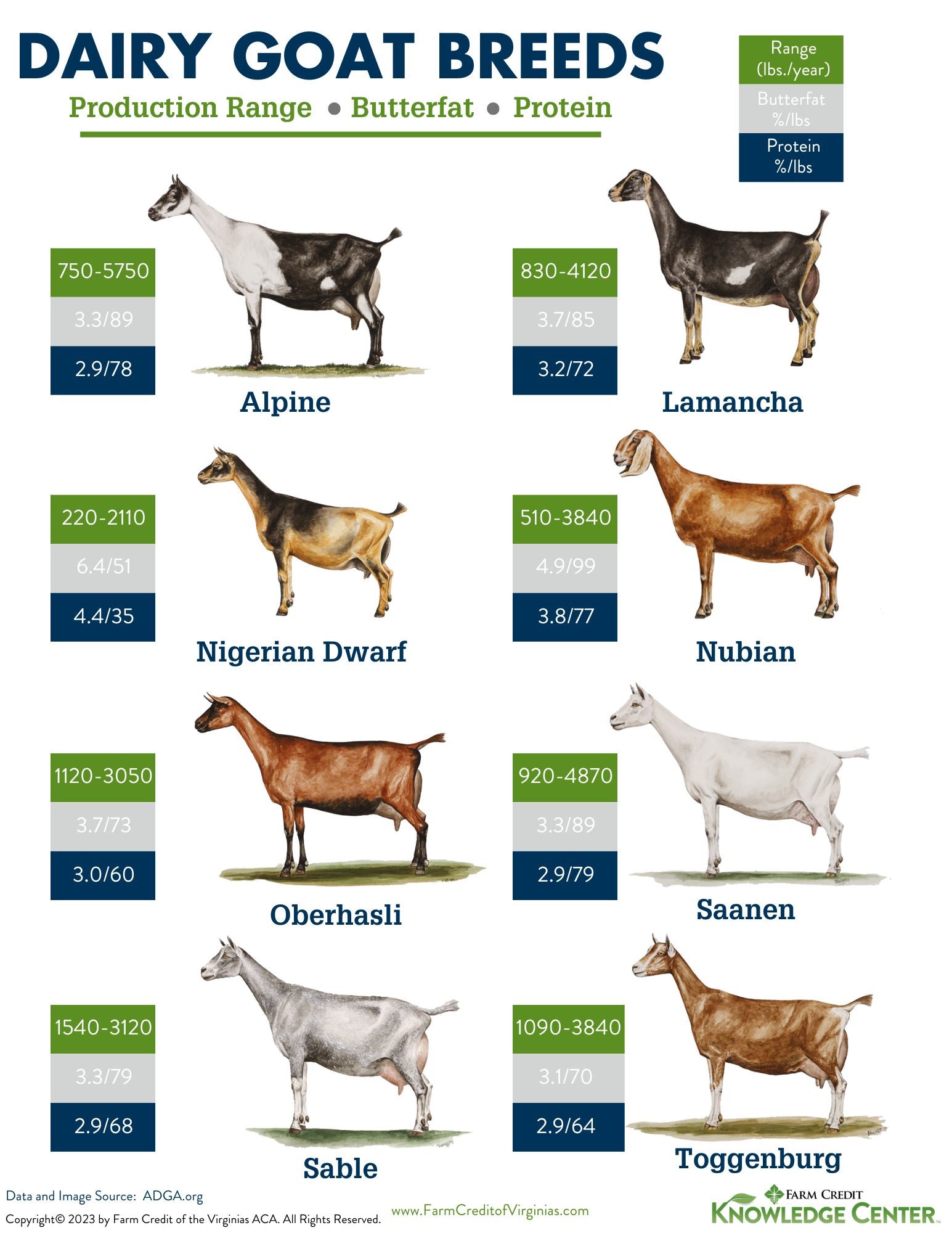 Dairy Goat Breeds Which One Is Right For Your Farm Farm Credit Of The Virginias 